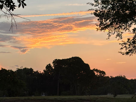 Colors at Sunrise