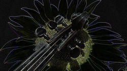 49342890_10218793804704334_5239471775946