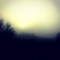 13717433_10210397678046415_1200678077559