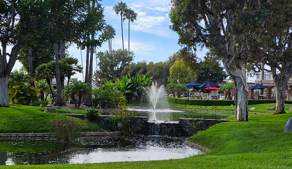 Park Photo Fountain.png