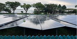 Singapore takes significant steps to combat climate change