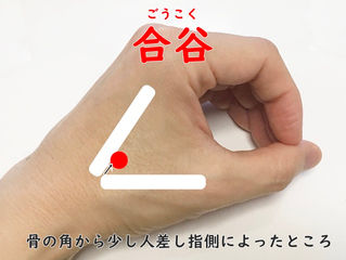 合谷穴の場所