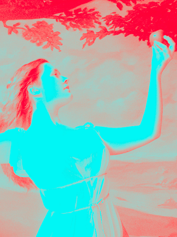 bry-header.gif