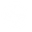 TRANSPARENT-02.png