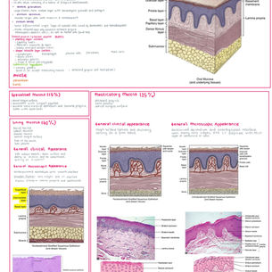 Normal Oral Mucosa