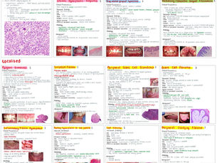 Inflammatory & Reactive Lesions