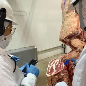 Cotripal investe em pecuária de precisão