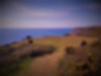 On the Coastal Path
