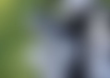 Iron Review - The 5th generation 2025 TaylorMade P790 Irons: Enhancing Performance and Feel