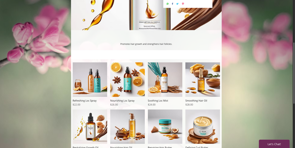 Screen Shot 2025-03-07 at 2.57.56 PM