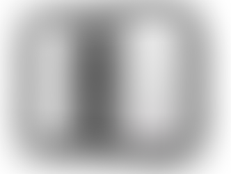 【新発売】グラム染色から判定・報告まで自動化　GramEye「Mycrium」