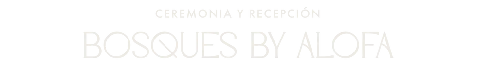Asset 13.webp