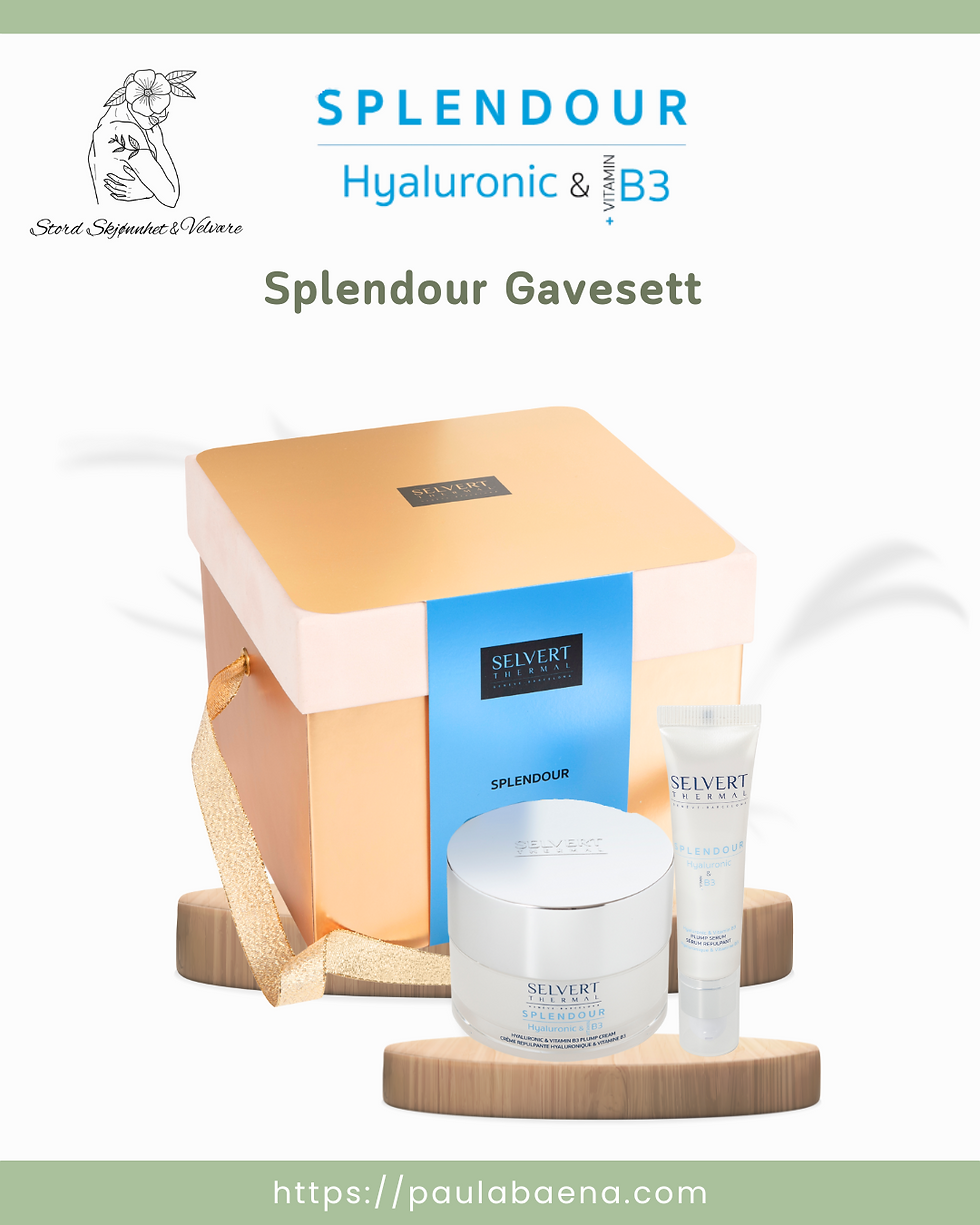 Splendour Gavesett                                                   Ref: 311506