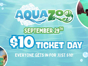 $10 Ticket Day at Hill City AquaZoo: Family Fun in Lynchburg, VA for Just $10!