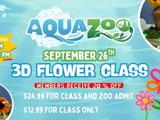 3D Flower Craft Class at Hill City AquaZoo: Learn a New Craft in Lynchburg, VA