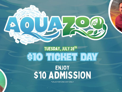 Discover Big Savings on Family Fun at Hill City AquaZoo with $10 Ticket Day