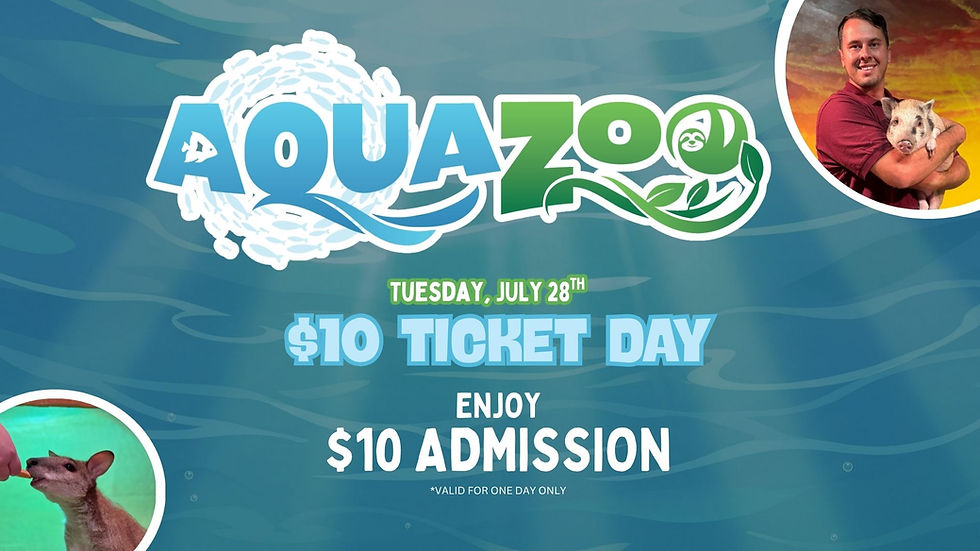 Discover Big Savings on Family Fun at Hill City AquaZoo with $10 Ticket Day