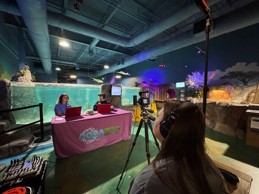 Shark Week at Hill City AquaZoo: Wildlife Conservation, Stingray Training & July Events