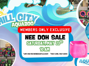 Exclusive Members Only Nee Doh Sale at AquaZoo on May 23rd