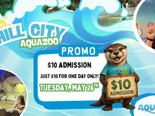 $10 Admission Day at AquaZoo an Unforgettable Family Adventure!