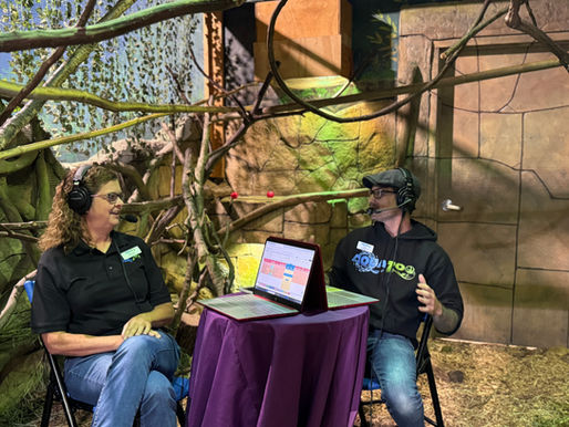 From Viral Seals to Prickly Porcupines: Inside AquaZoo Adventures Episode 2