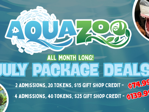 Make Summer Memories at Hill City AquaZoo with Our July Package Deals