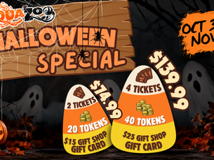 Halloween Special at Hill City AquaZoo: Save with Limited-Time Family Packages!