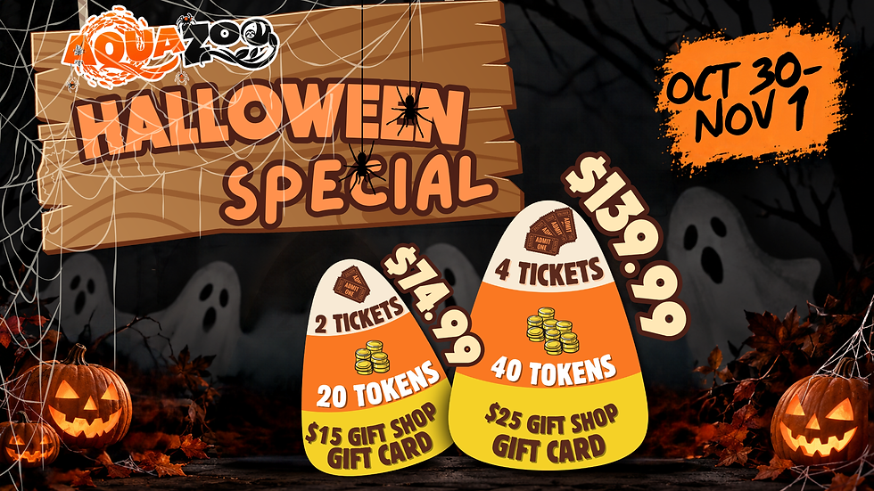 Halloween Special at Hill City AquaZoo: Save with Limited-Time Family Packages!