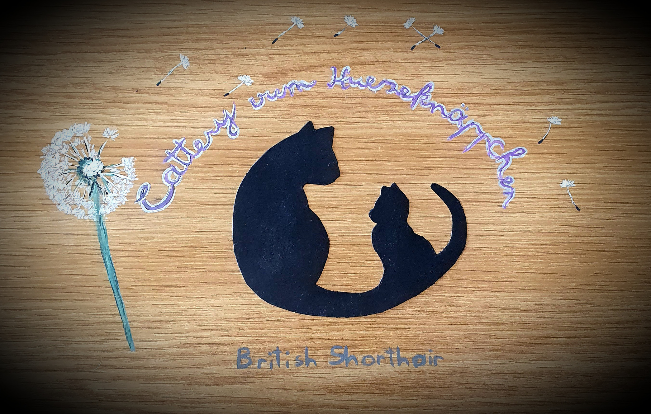 Histoire Du British Shorthair Caractere Du British Shorthair Histoire Du British Shorthair Caractere Du British Shorthair