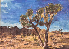 Joshua Tree National Park