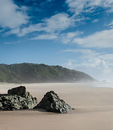 OC Funds Management - Image 5.jpg