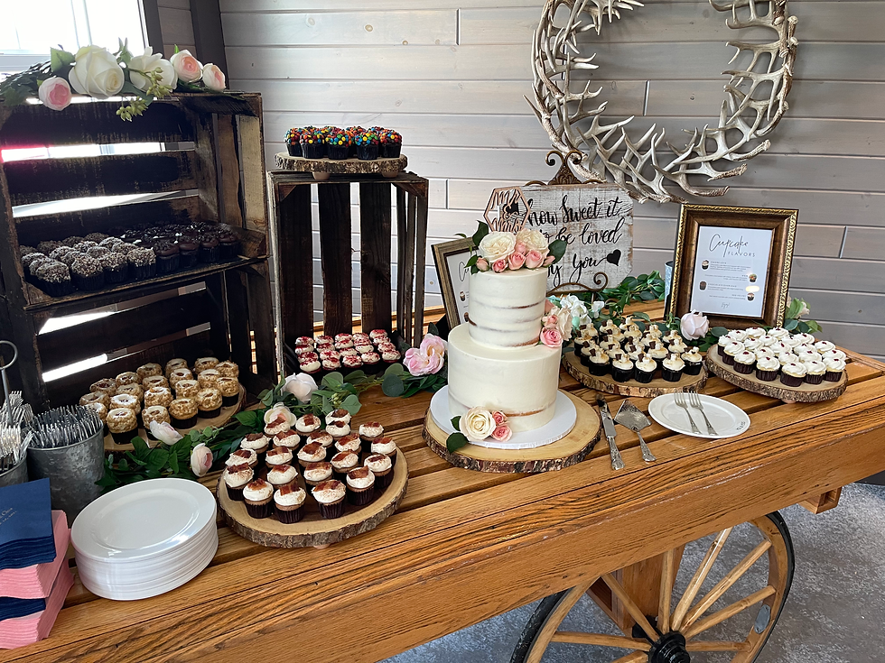 Cake and dessert bar with gluten-free and vegan cupcakes in Tampa