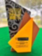 curtin2.jpeg