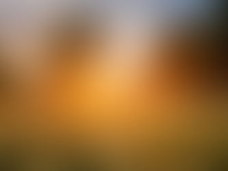 In-Between Days: News from PHYSIS in June