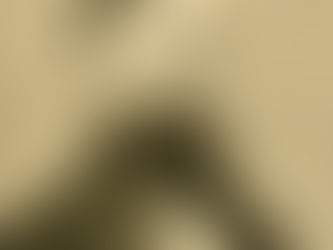 Functions without Functional Control