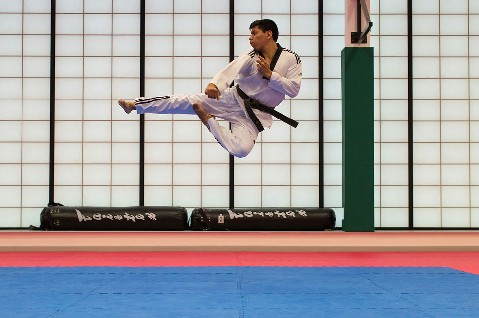 Indomitable Taekwondo
