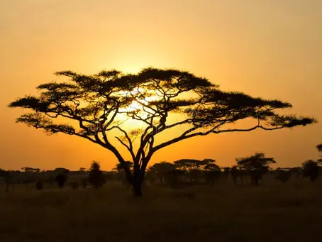 Africa’s population and economy are surging.