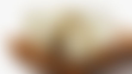 Projeto de Qualidade do Queijo Minas Frescal abre oportunidades para a indústria de laticínios