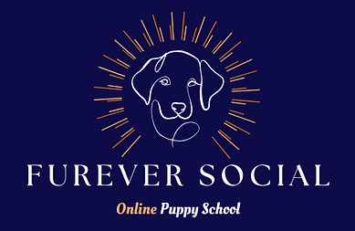 FS Brand Kit (8).png