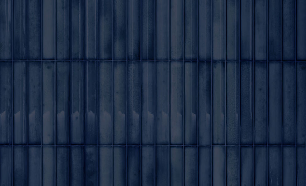 JCS 628_BEAU VALLON_Blue Night_02.jpg