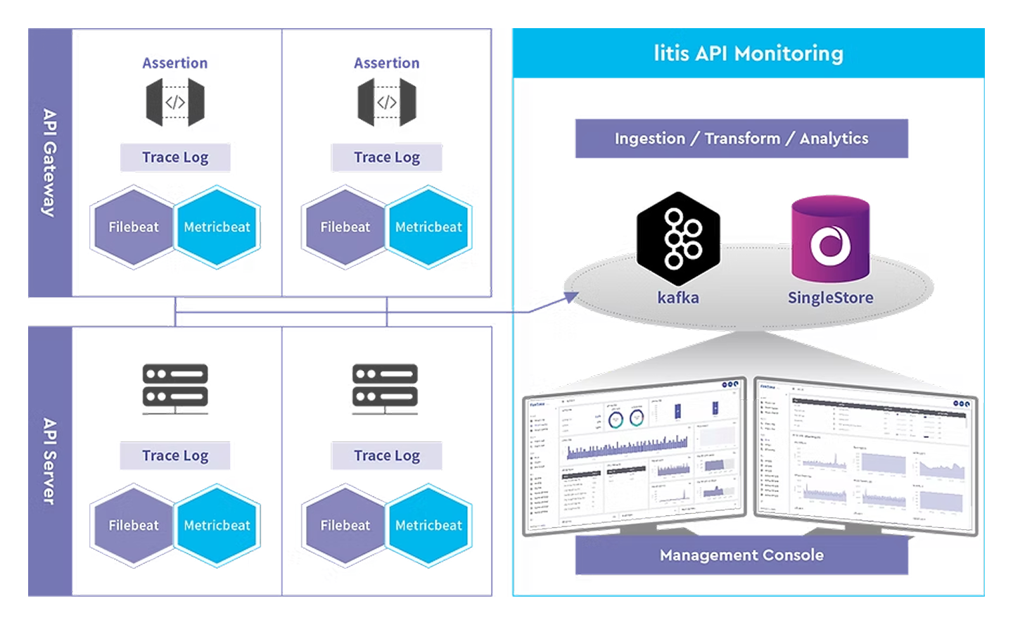 litis API Monitoring with Layer7