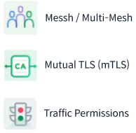 Messh/Multi-Mesh, Mutual TLS(mTLS), Traffic Permissions