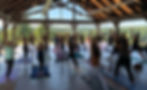 Petals & Poses at Cana Vineyards - Summertime Edition