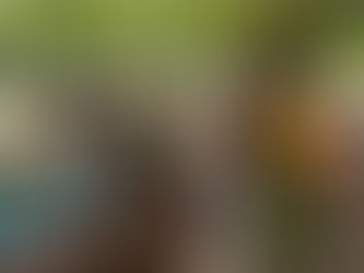 Looking back on Summer 2022!