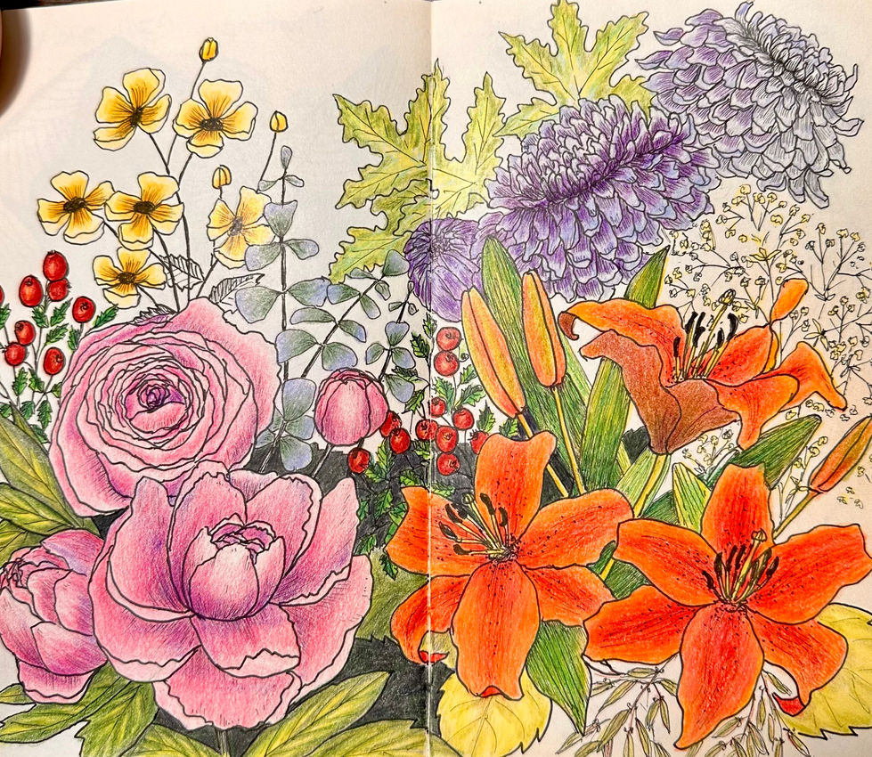 Fine liners and coloured pencil