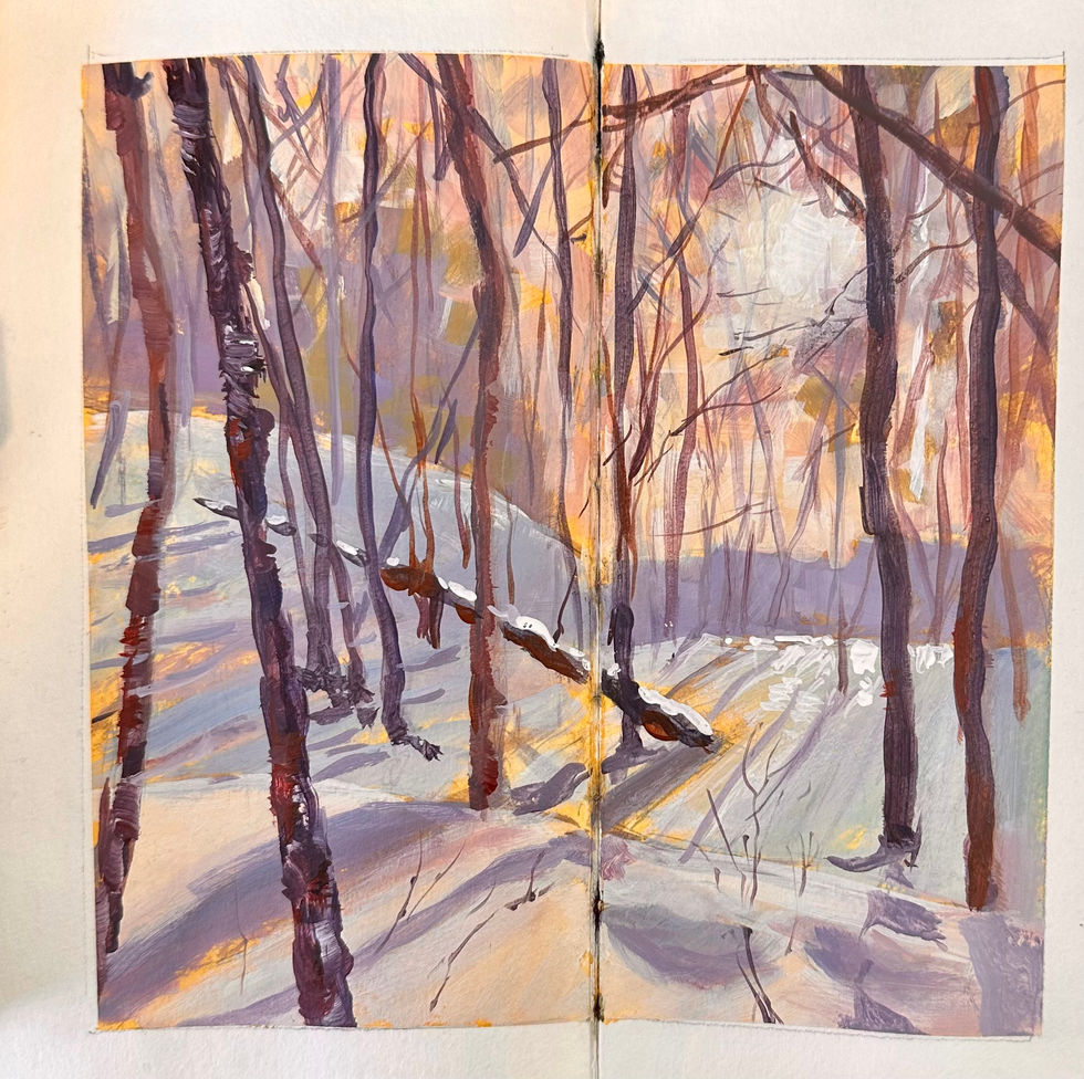 Golden Hour in Woods