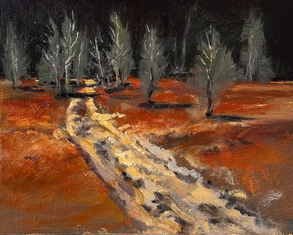 Blueberry fields of Mew Lake