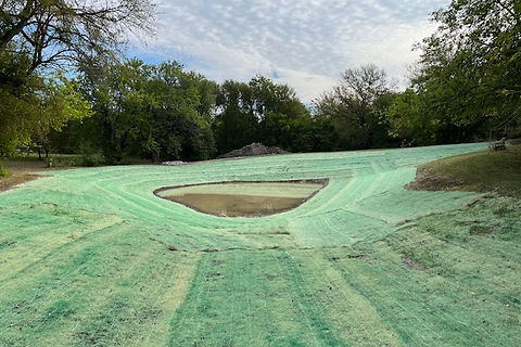 Creekview E Pond Curlex.jpg