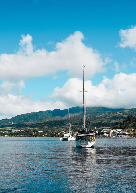 franzy excursion martinique - excursions martinique - sortie bateau martinique  - saint pierre - martinique - bateau - sortie bateau - excursion - montagne pelée - dauphin - tortue - plage - mer - excursion nautique - plongée