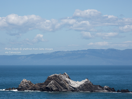 San Mateo County Real Estate Market Update | February 2026